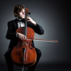 Spa Ambiance: Orchestra of Peace - Eloy Perez