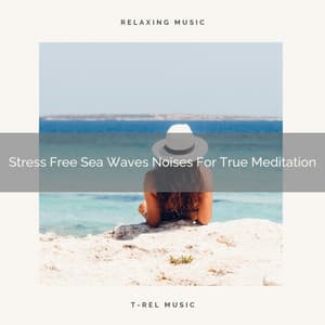 Stress Free Sea Waves Noises For True Meditation - Instant Relax