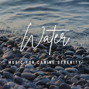 Music for Canine Serenity: Waterside Harmony - Zama Sanctuary