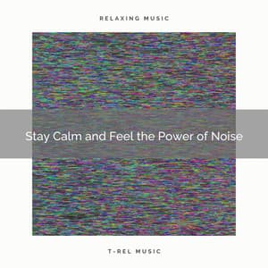 Stay Calm and Feel the Power of Noise - Relaxing Sounds ASMR