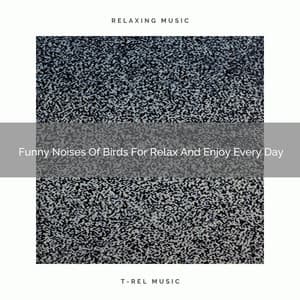 2021 New: Funny Noises Of Birds For Relax And Enjoy Every Day - Baby Hush for Sleep