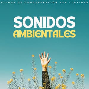 Sonidos Ambientales: Ritmos De Concentración Zen Lluviosa - Agradable Musica para Leer