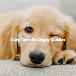 Cozy Tunes for Doggy Cuddles - Luxury Jazz Radio
