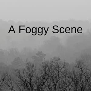 A Foggy Scene - Smart Baby Lullaby