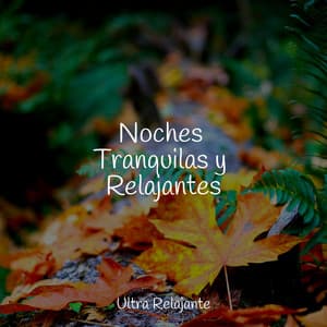 Noches Tranquilas y Relajantes - Sonidos de la Naturaleza