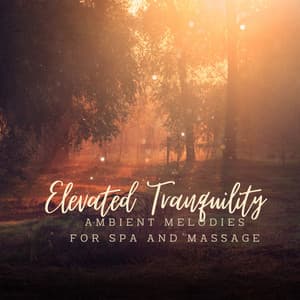Elevated Tranquility: Ambient Melodies for Spa and Massage - The Goth Piano