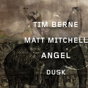 Angel Dusk - Tim Berne
