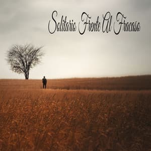 Solitario Frente Al Fracaso - Música Instrumental Maestro