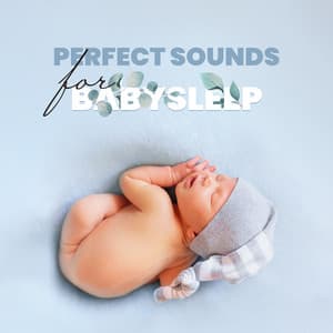 Perfect Sounds for Baby Sleep: Children’s Music - Sleeping Lullabies