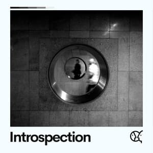 Introspection - Meditation