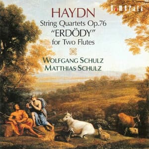 Haydn: String Quartets for Two Flutes - Joseph Haydn