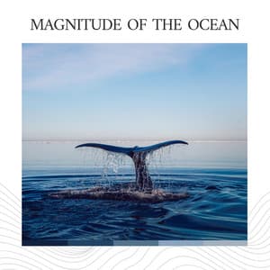 Magnitude of the Ocean - ASMR Ocean Sounds