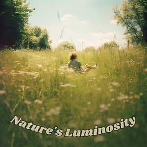 Nature's Luminosity - Blissful Calm