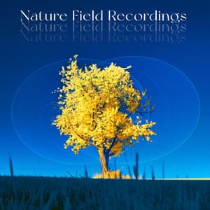 Nature Field Recordings - Nature Field Recordings