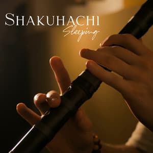 Shakuhachi Sleeping - Mark Siddhi