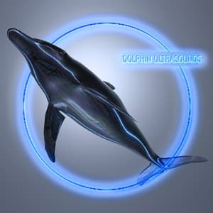 Dolphin Ultrasounds: Collection of Sounds with Healing and Relaxing Properties, Soothing Stress and Tension, Helping to Calm Down and Recover - Mother Nature Sound FX