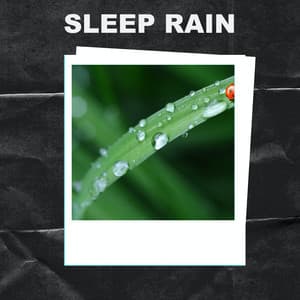 Sleep Rain - Sleep Rain