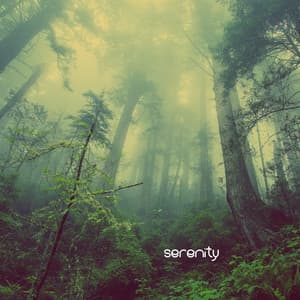 Serenity - Peaceful Zen