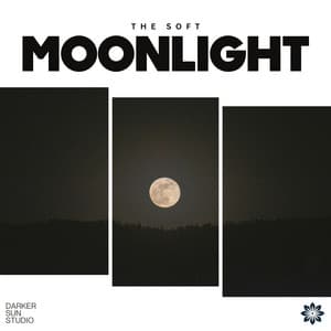 The Soft Moonlight - Calm Music Masters