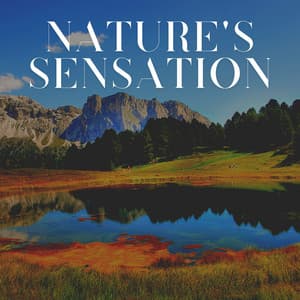 Nature's Sensation - Binaural Beats Sleep Tones