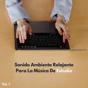 Sonido Ambiente Relajante Para La Música De Estudio Vol. 1 - La mejor musica instrumental