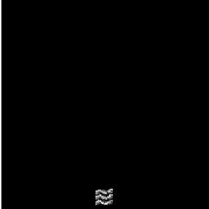 Pets Calming Raining Soughs Noises - Pet Music World