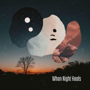 When Night Heals - Moonlight Shadow Universe