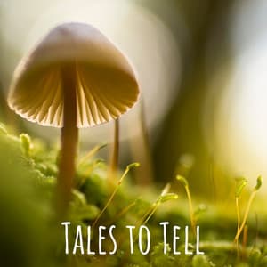 Tales to Tell - Rain Sounds
