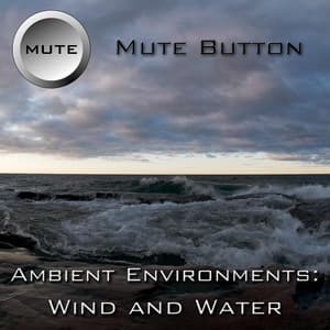 Ambient Environments: Wind and Water - Mute Button