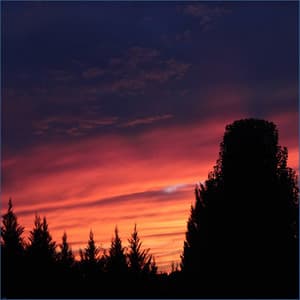 Wind Chimes - Binaural Beats Brainwave Entrainment