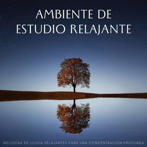 Ambiente De Estudio Relajante: Melodías De Lluvia Relajantes Para Una Concentración Profunda - Lluvia en España