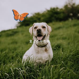 まどろみの音 - Coffee Shop Music Deluxe