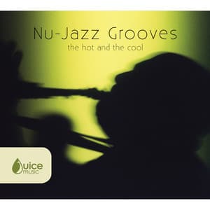 Nu-Jazz Grooves - Richard Myhill