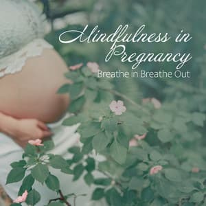 Mindfulness in Pregnancy: Breathe in Breathe Out - Hypnobirthing, Prenatal Meditation, Reduced Stress, Deep Relaxation Music - Relaxation Session Zone