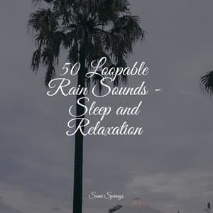50 Loopable Rain Sounds - Sleep and Relaxation - The Relaxing Sounds of Swedish Nature