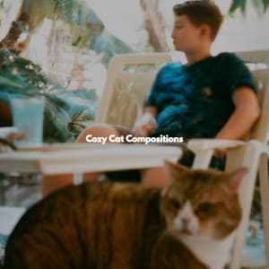 Cozy Cat Compositions - Smooth Jazz Radio