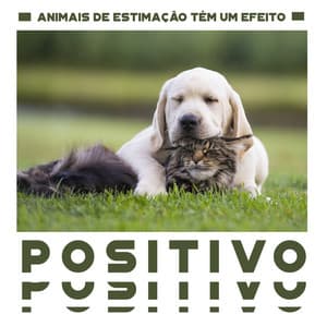 Animais de Estimação Têm um Efeito Positivo na Vida de Seus Donos: Cuide de Seu Animal de Estimação - Academia de Música para Animais