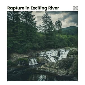 Rapture in Exciting River - Swedish Forest Birds