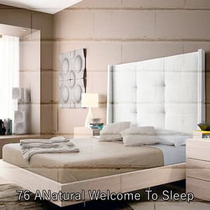 76 ANatural Welcome To Sleep - Chillout Lounge Relax