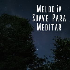 Melodía Suave para Meditar - Reiki Armonía