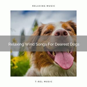 Relaxing Wind Songs For Dearest Dogs - Dog Total Relax