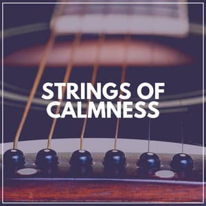 Strings of Calmness - Acoustic Guitar Music