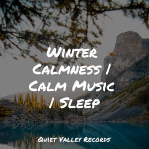 Winter Calmness | Calm Music | Sleep - Nature's Symphony