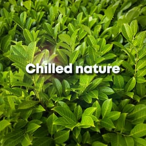 Chilled Nature - Meditation Music