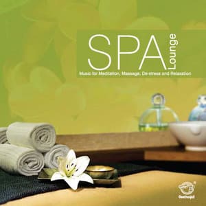 Spa Lounge Music For Instrumental, Message, De-Stress And Relaxation - Saaswathi Prabhu