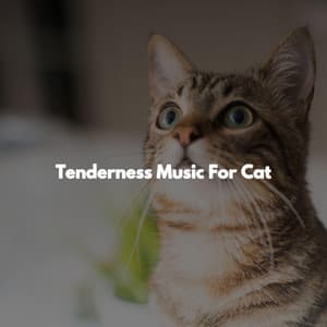 Tenderness Music For Cat - Weekend Jazz Chillout