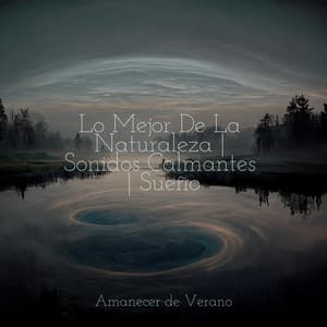 Lo Mejor De La Naturaleza | Sonidos Calmantes | Sueño - Música Zen Relaxante