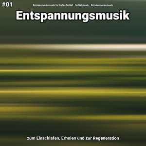#01 Entspannungsmusik zum Einschlafen, Erholen und zur Regeneration - Entspannungsmusik für tiefen Schlaf