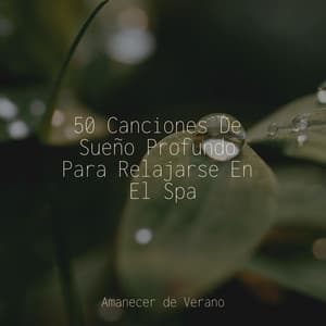 50 Canciones De Sueño Profundo Para Relajarse En El Spa - Chakra Balancing Sound Therapy