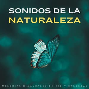 Sonidos De La Naturaleza: Melodías Binaurales De Río Y Cascadas - Sonidos de agua y río